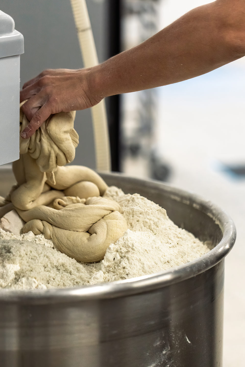 Des matières premières naturelles et vivantes boulangerie artisanale la Bakery à Beautor & Tergnier